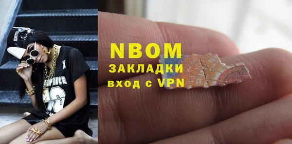 шишки Белоозёрский