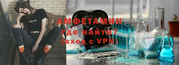 сатива Беломорск