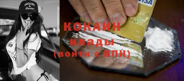 шишки Белоозёрский