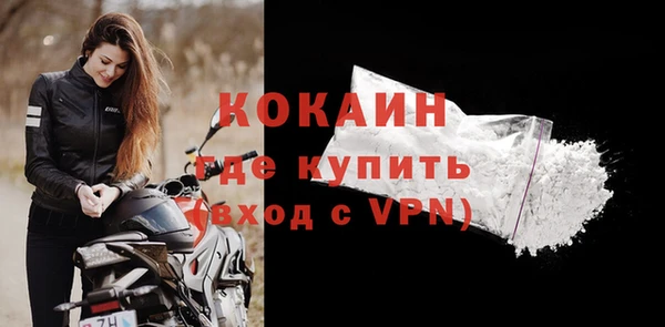 сатива Беломорск