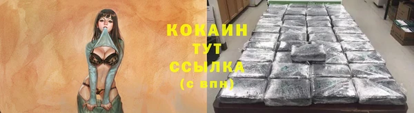 шишки Белоозёрский