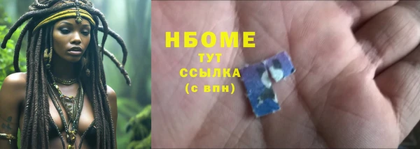 шишки Белоозёрский