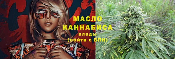 шишки Белоозёрский