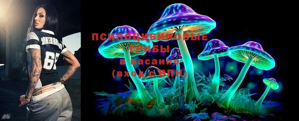 шишки Белоозёрский
